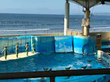 新江ノ島水族館に投稿された画像（2026/10/11）