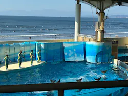 新江ノ島水族館に投稿された画像（2026/10/11）