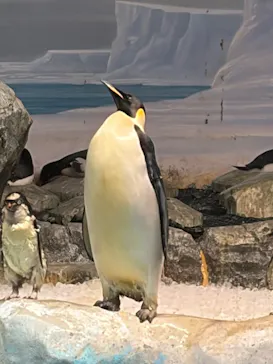 名古屋港水族館に投稿された画像（2026/10/11）