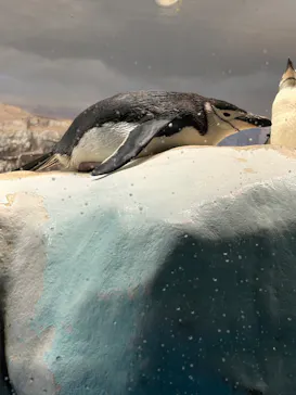名古屋港水族館に投稿された画像（2026/10/11）