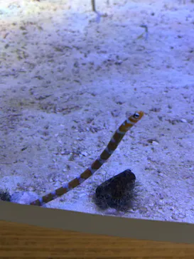 名古屋港水族館に投稿された画像（2026/10/11）