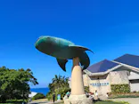 沖縄美ら海水族館に投稿された画像（2026/10/11）