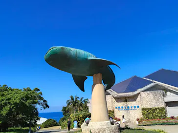 沖縄美ら海水族館に投稿された画像（2026/10/11）