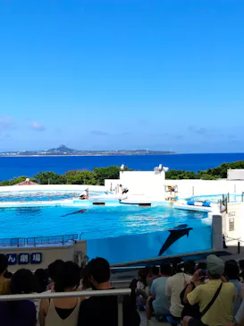 沖縄美ら海水族館に投稿された画像（2026/10/11）