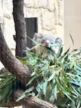 名古屋市東山動植物園に投稿された画像（2026/10/12）