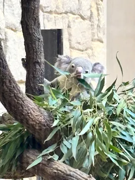 名古屋市東山動植物園に投稿された画像（2026/10/11）
