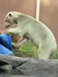 天王寺動物園に投稿された画像（2026/10/12）