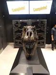 福井県立恐竜博物館に投稿された画像（2026/10/12）