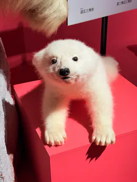 シンシナティ美術館展 ～アメリカに渡ったヨーロッパの至宝～(上野の森美術館）に投稿された画像（2026/10/11）