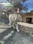 東武動物公園に投稿された画像（2026/10/12）