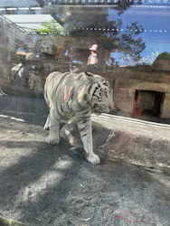 東武動物公園に投稿された画像（2026/10/11）
