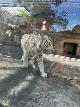 東武動物公園に投稿された画像（2026/10/11）