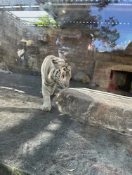 東武動物公園に投稿された画像（2026/10/11）