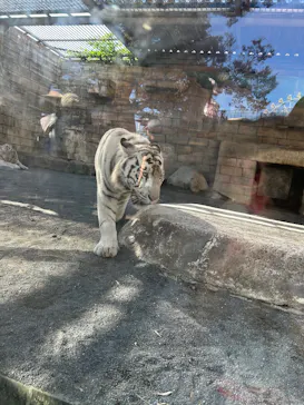 東武動物公園に投稿された画像（2026/10/11）