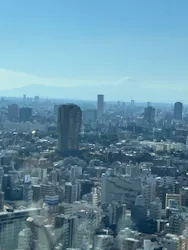 東京タワーに投稿された画像（2026/10/12）
