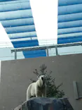天王寺動物園に投稿された画像（2026/10/12）