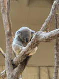 名古屋市東山動植物園に投稿された画像（2026/10/12）