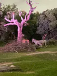 天王寺動物園に投稿された画像（2026/10/12）