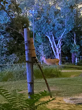 天王寺動物園に投稿された画像（2026/10/12）