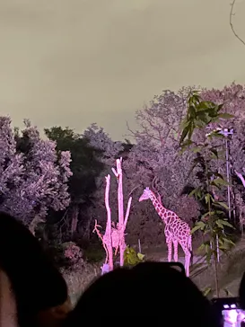 天王寺動物園に投稿された画像（2026/10/12）