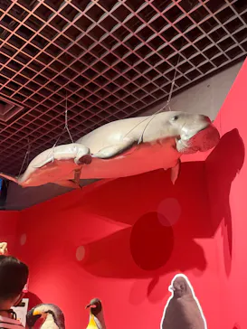 特別展「いきもの超ワールド展　国立科学博物館×ダーウィンが来た！」（国立科学博物館）に投稿された画像（2026/10/12）