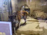 天王寺動物園に投稿された画像（2026/10/12）
