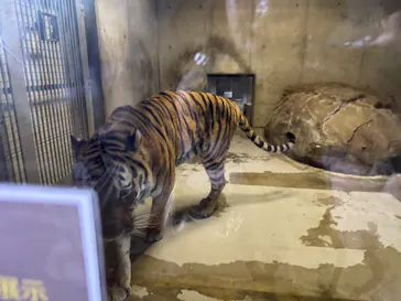 天王寺動物園に投稿された画像（2026/10/12）