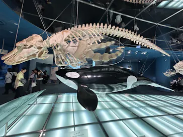 名古屋港水族館に投稿された画像（2026/10/12）