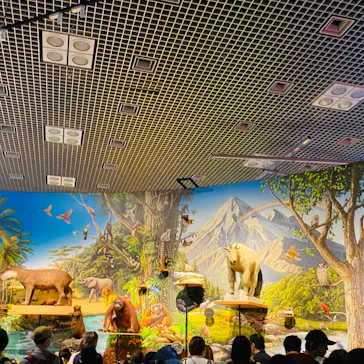 特別展「いきもの超ワールド展　国立科学博物館×ダーウィンが来た！」（国立科学博物館）に投稿された画像（2026/10/12）
