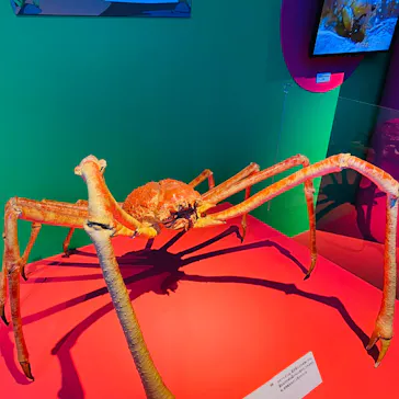 特別展「いきもの超ワールド展　国立科学博物館×ダーウィンが来た！」（国立科学博物館）に投稿された画像（2026/10/12）