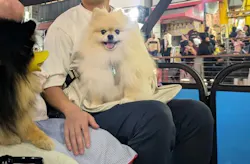 インディクルーズに投稿された画像（2026/10/12）
