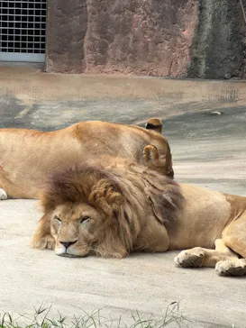 天王寺動物園に投稿された画像（2026/10/12）