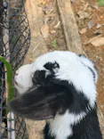 伊豆シャボテン動物公園に投稿された画像（2026/10/12）