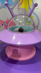 神戸アンパンマンこどもミュージアム＆モールに投稿された画像（2026/10/12）