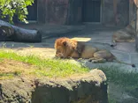 天王寺動物園に投稿された画像（2026/10/12）