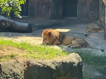 天王寺動物園に投稿された画像（2026/10/12）