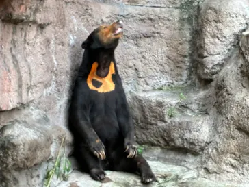 天王寺動物園に投稿された画像（2026/10/12）