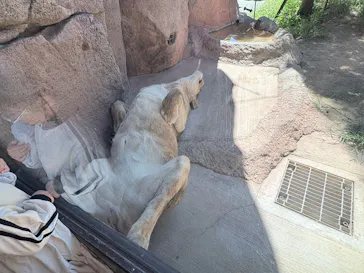 天王寺動物園に投稿された画像（2026/10/12）
