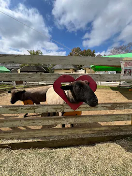 千葉市動物公園に投稿された画像（2026/10/12）
