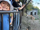 名古屋市東山動植物園に投稿された画像（2026/10/12）