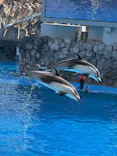 名古屋港水族館に投稿された画像（2026/10/12）
