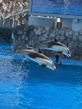 名古屋港水族館に投稿された画像（2026/10/12）