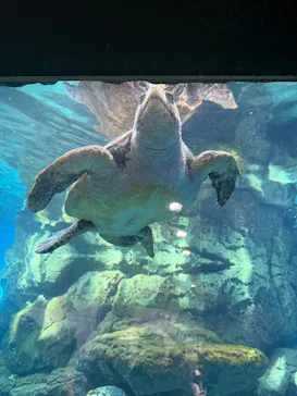 名古屋港水族館に投稿された画像（2026/10/12）