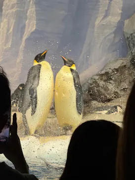 名古屋港水族館に投稿された画像（2026/10/12）