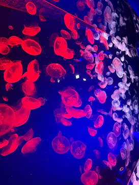 名古屋港水族館に投稿された画像（2026/10/12）