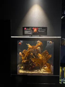 環境水族館アクアマリンふくしまに投稿された画像（2026/10/12）