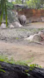 天王寺動物園に投稿された画像（2026/10/12）