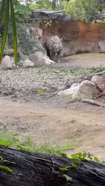 天王寺動物園に投稿された画像（2026/10/12）