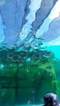天王寺動物園に投稿された画像（2026/10/12）