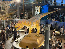福井県立恐竜博物館に投稿された画像（2026/10/12）